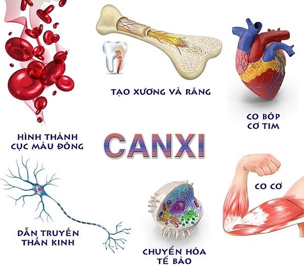 Canxi đối với phụ nữ là rất quan trọng