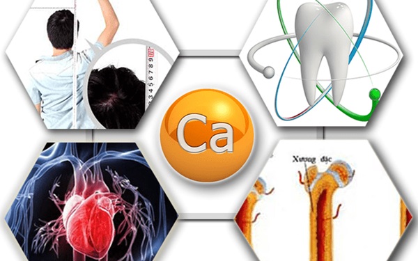 Canxi đóng vai trò quan trọng với sức khỏe con người - nanogroup