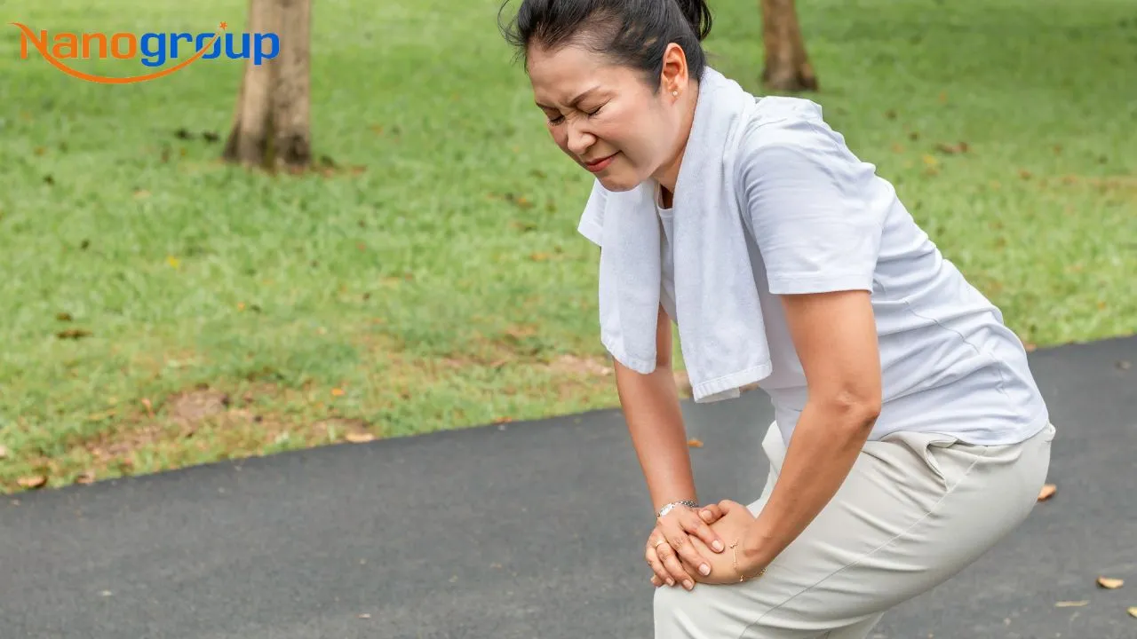 Trong y học cổ truyền, rể cây mật thân được dùng để điều trị bệnh tê bì chân tay, xương yếu... - nanogroup